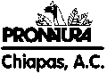 Pronatura Chiapas